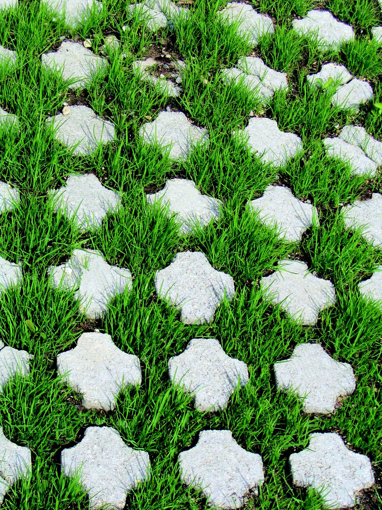 ALKERN4066_ALKERN187_Photo 2 Dalle Gazon page 33-lpr