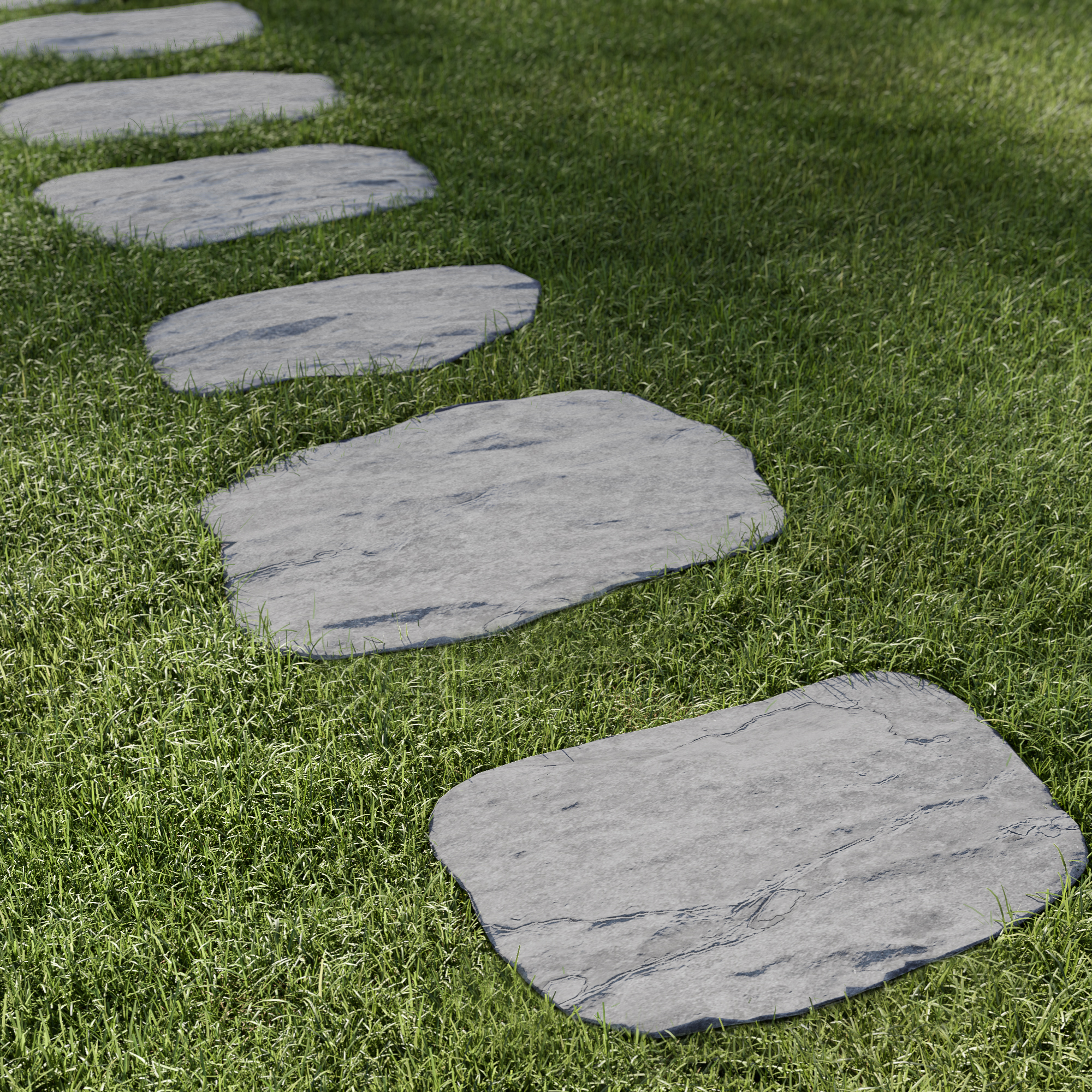 C_Calcara_Zoom_PasJaponais_v2