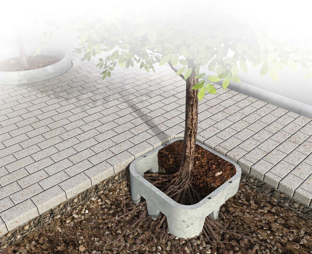 Alkern-Guide racinaire-BD (004)