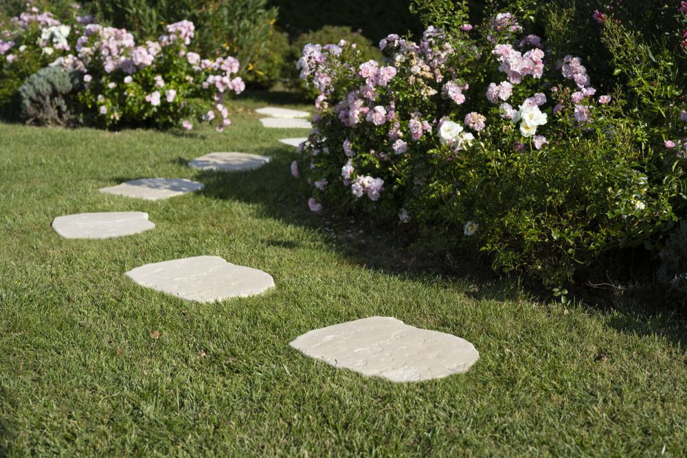 340035_pas_japonais_fuji